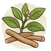 अश्वगंधा