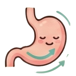 अपचन व पोटदुखीसाठी आयुर्वेदिक उपाय